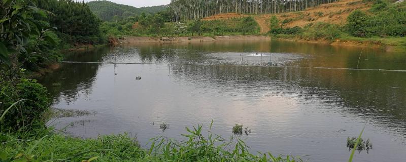 鱼塘防渗膜施工方法与技巧,鱼塘底部用水泥可以吗