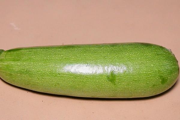 北瓜的种植技术和方法