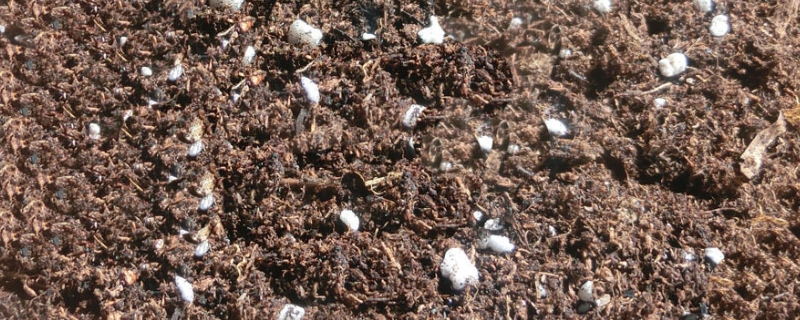 一升营养土等于多少斤,营养土可以直接种花吗