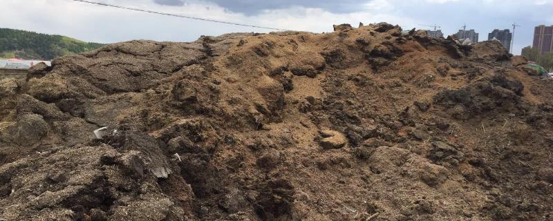 农家肥含钾最高的是，农家肥如何杀虫杀菌