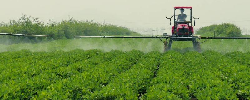 敌稗与恶唑酰草胺能混用吗,敌稗可以防治哪些杂草