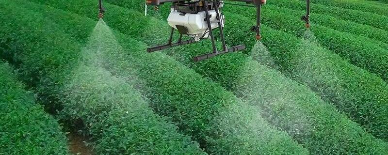 农药安全使用规定,使用安全间隔期是指什么