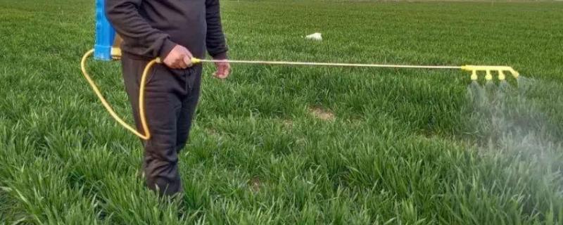 脂溶性农药怎样去除,附危害性