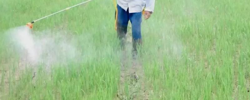 农药安全间隔期是什么意思,农药安全间隔期后有毒吗