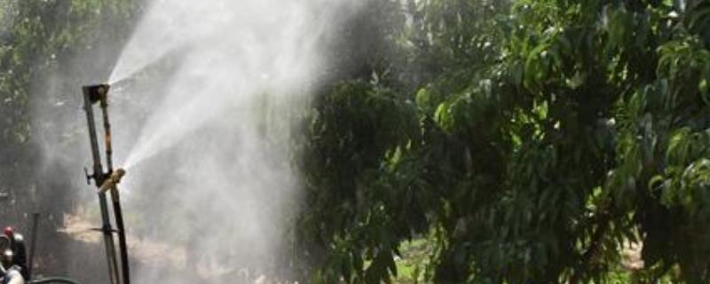 四氯虫酰胺杀什么虫,附使用方法和注意事项