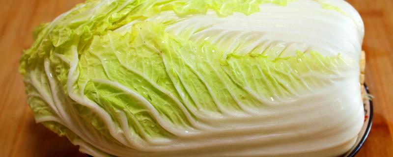 白菜出苗后怎样治虫子，白菜出苗后多久可以施肥