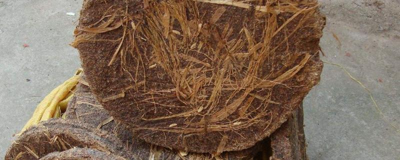 茶枯可以直接埋土里种菜吗,茶枯是什么东西