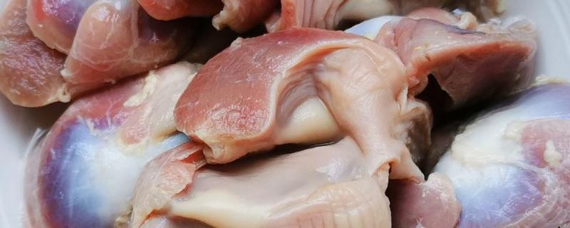 鸡的胃是鸡胗吗,鸡的胃为什么能消化石头