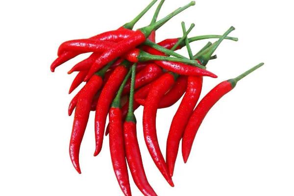 辣椒有哪几种,辣椒的种植方法