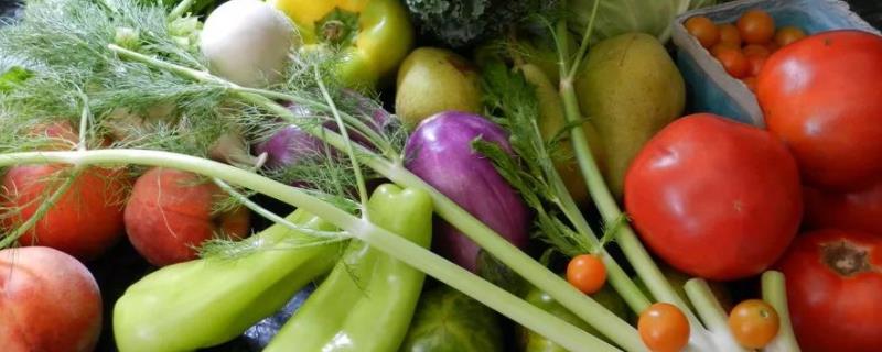 农药残留的性质,农药残留主要检测什么成分