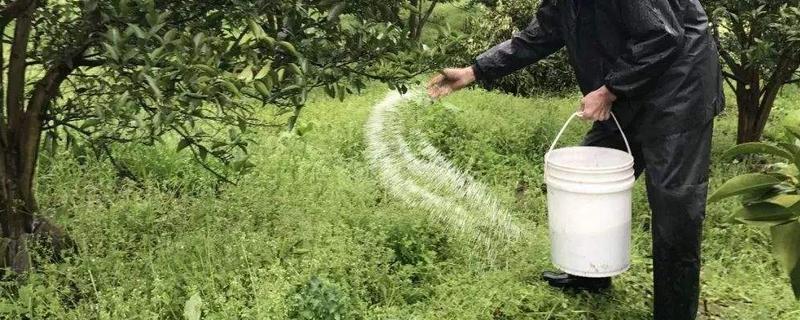 施肥种类和施肥标准,施肥方式有哪些