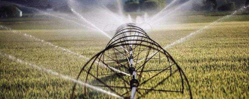 农业产业化与农业现代化的关系,农业产业化发展存在的问题