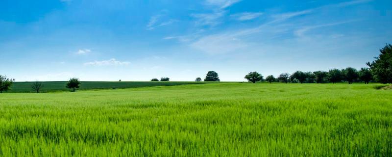 我国新型农业经营主体有哪些,农业经营方式有哪些