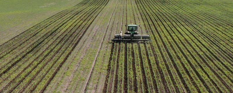 中耕除草有什么作用,中耕除草的方法