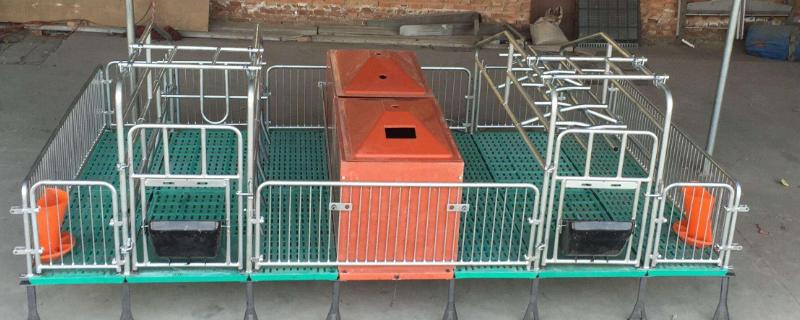 母猪产床的尺寸,母猪难产怎么助产