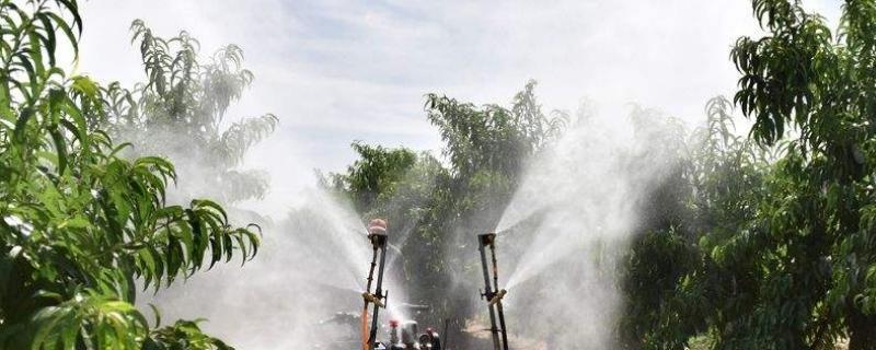 农资产品包括哪些