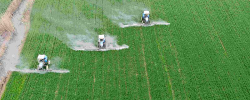 美国农业的特点,为什么生产效率高