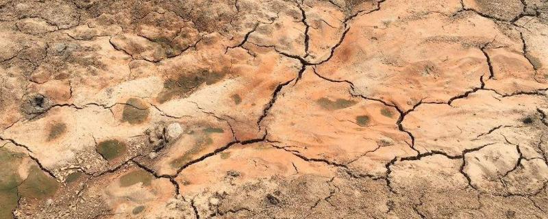 土壤盐渍化的形成原因,如何改良