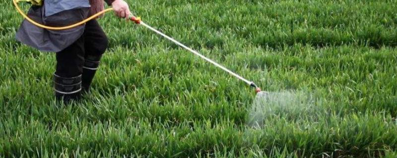 10度以下能打除草剂吗,除草剂对下茬作物有影响吗