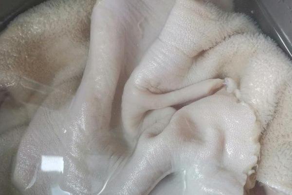 牛百叶怎么处理,牛有几个胃