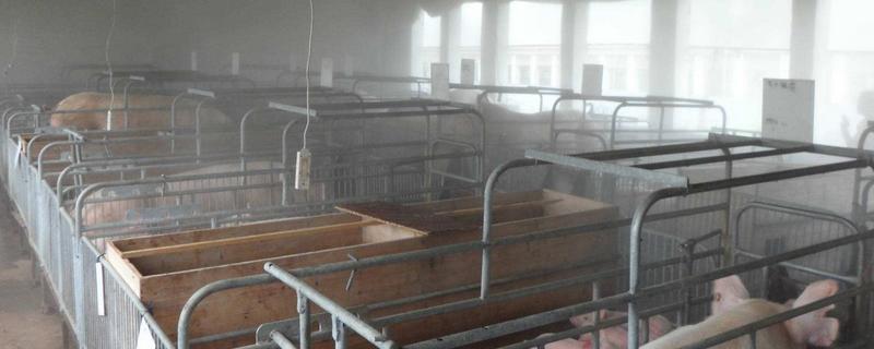 养猪场降温设备有哪些,养猪场的污水如何处理