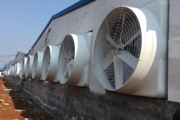 养猪场降温设备有哪些,养猪场的污水如何处理