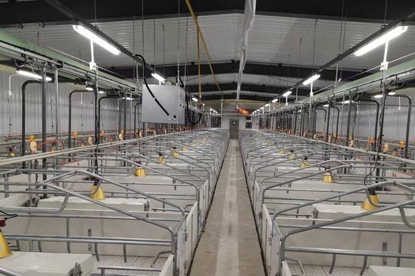 养猪场降温设备有哪些,养猪场的污水如何处理