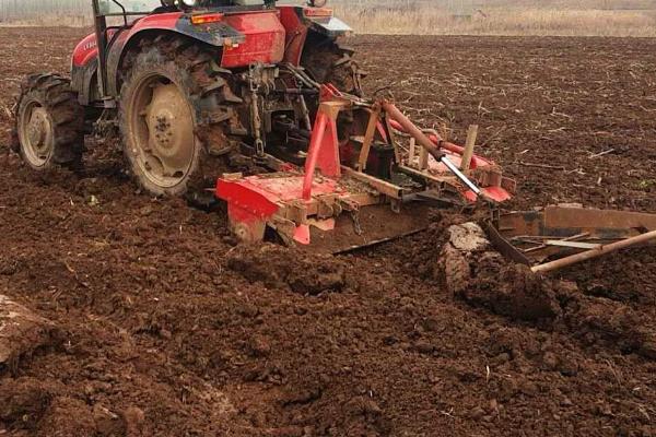 葡萄的生殖方式,附葡萄常见的品种