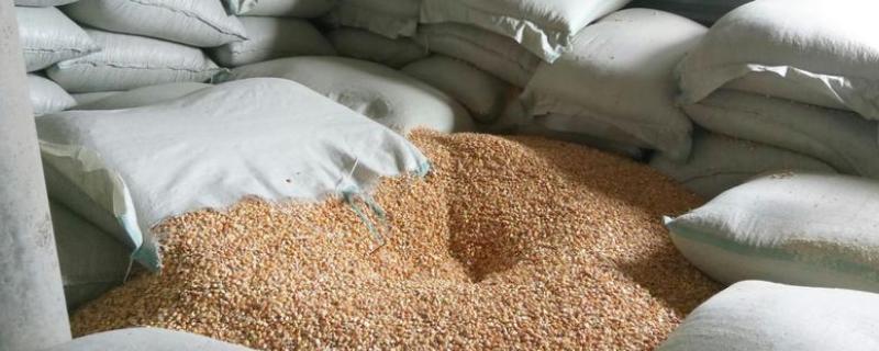 猪饲料可以喂牛吗,猪饲料的添加剂有哪些