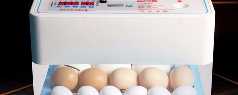 家用孵化机孵鸡全过程,孵化机孵鸡可以停电多久