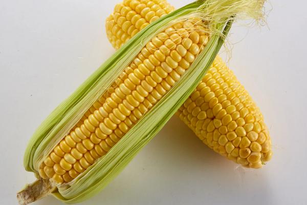 先玉698玉米种简介，适合哪里种植，产量如何