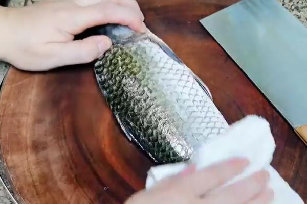 鲫鱼是海鱼还是淡水鱼，刺多不多