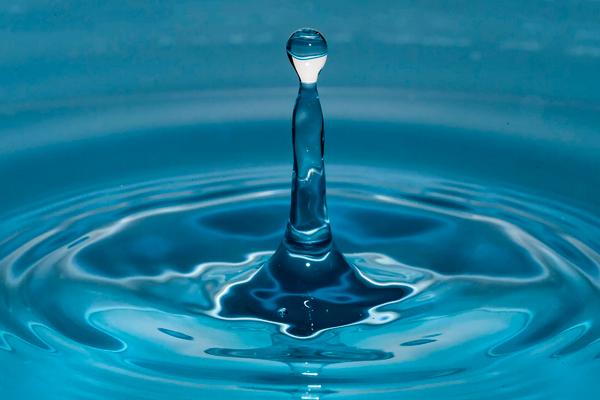 农作物生长的三大要素，农作物生长的必要条件