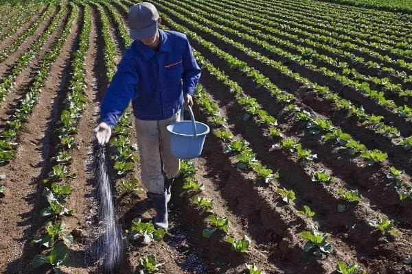 低氯中氯高氯化肥的区别，化肥的种类有哪些