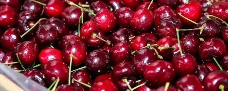 车厘子xl级和j级哪个大,樱桃怎么挑选