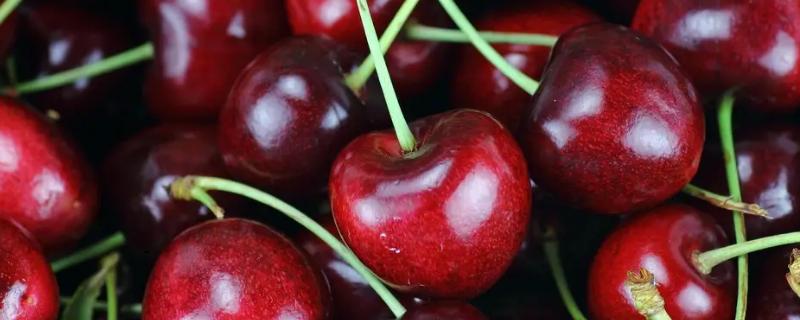 5j车厘子是多少毫米，双j车厘子有多大