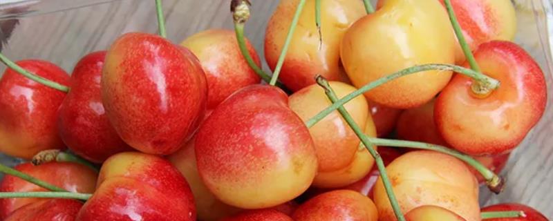 雷尼尔车厘子是哪里的，几月份上市