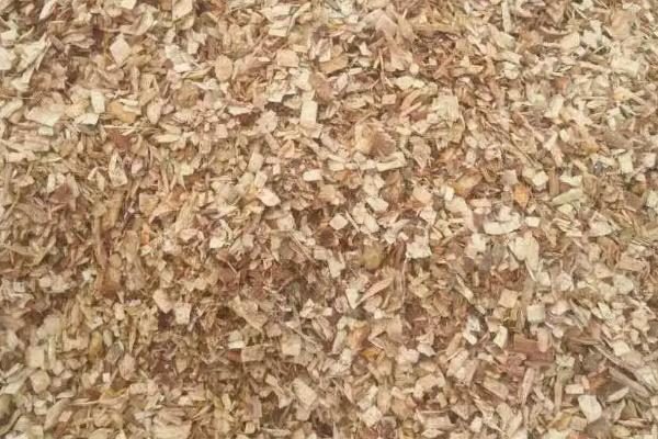 木屑怎么发酵有机肥,木屑可以直接拌土种花吗