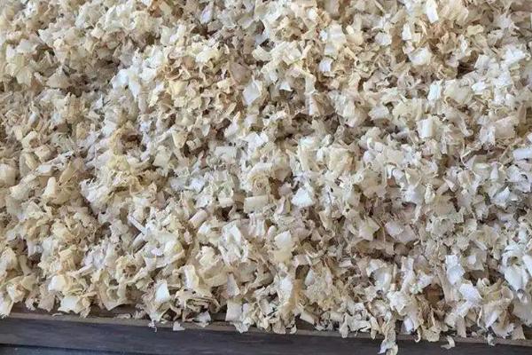 木屑怎么发酵有机肥,木屑可以直接拌土种花吗