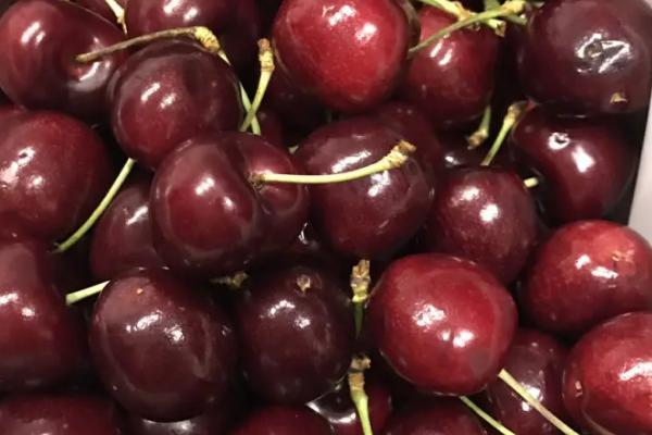 汶川车厘子上市时间