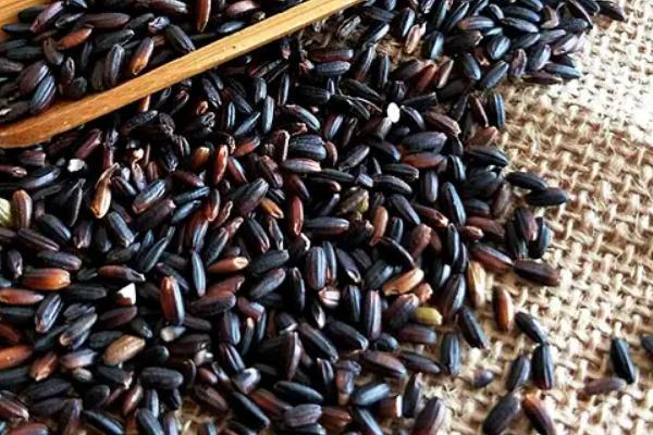 血糯米是什么,和黑米有什么区别