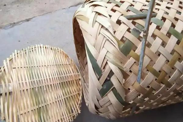 野鸭子怎么可以抓到,小野鸭能不能养活