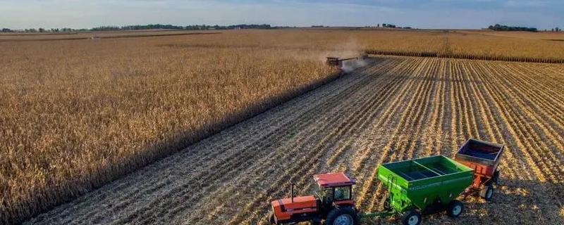 俄罗斯农业分布特点及原因,俄罗斯农业以什么为主