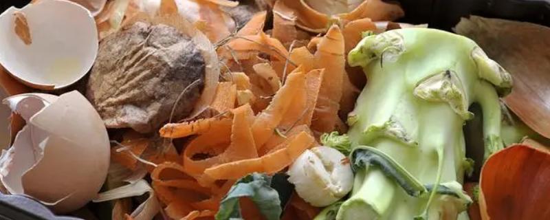 厨余垃圾怎么发酵成有机肥料，厨余垃圾有哪些