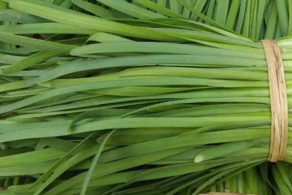 3到5月份可以种什么