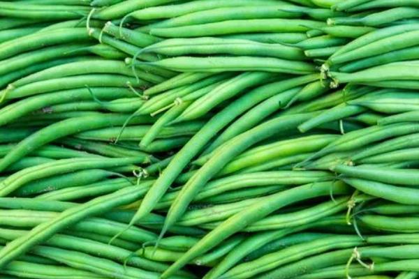 3到5月份可以种什么