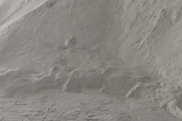 基围虾养殖技术条件,基围虾是淡水虾还是海水虾