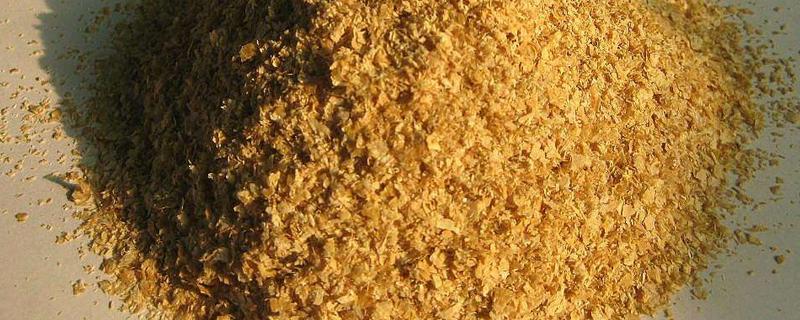 麸皮是什么东西，麸皮可以用来做什么