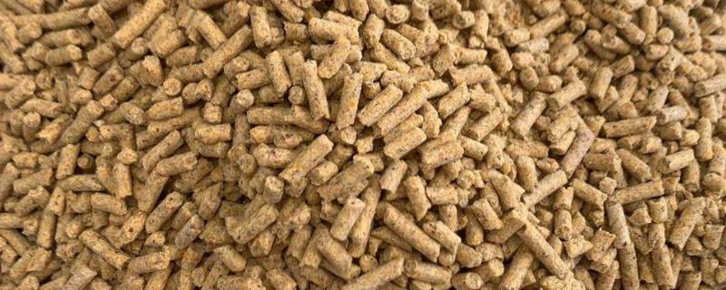 鸡饲料氯化胆碱的作用，氯化胆碱是什么东西