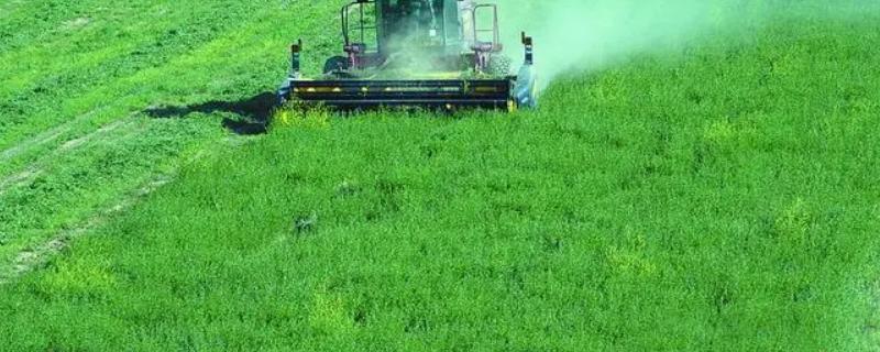 游牧业是农业吗，畜牧业类型有哪些